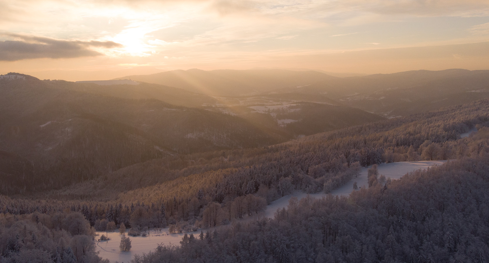 Nature Inspires Design