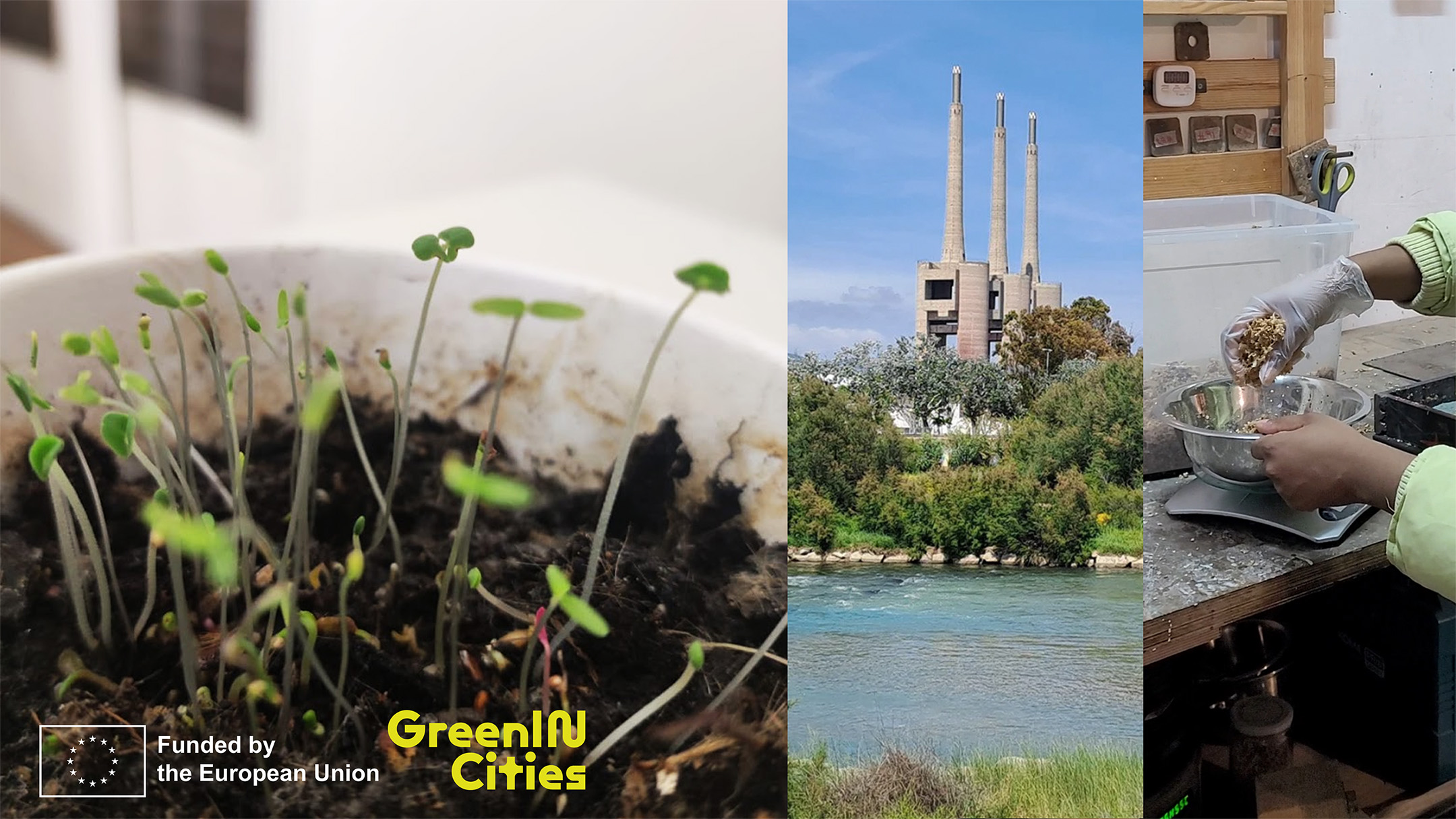 GreenInCities: A network of living cities 
