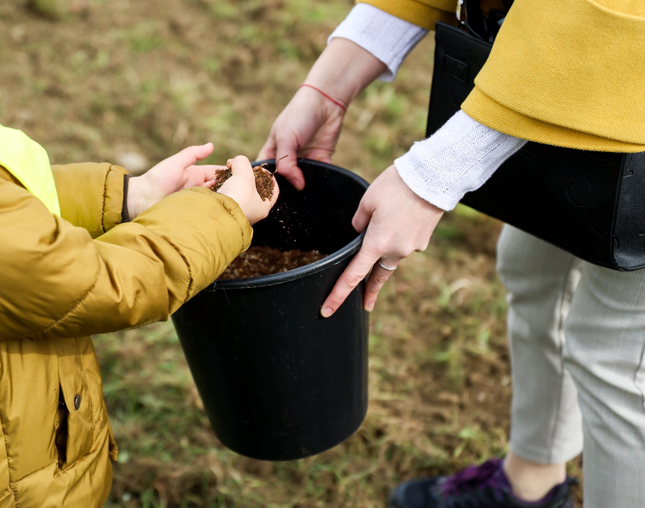 GreenInCities: Commons Garden