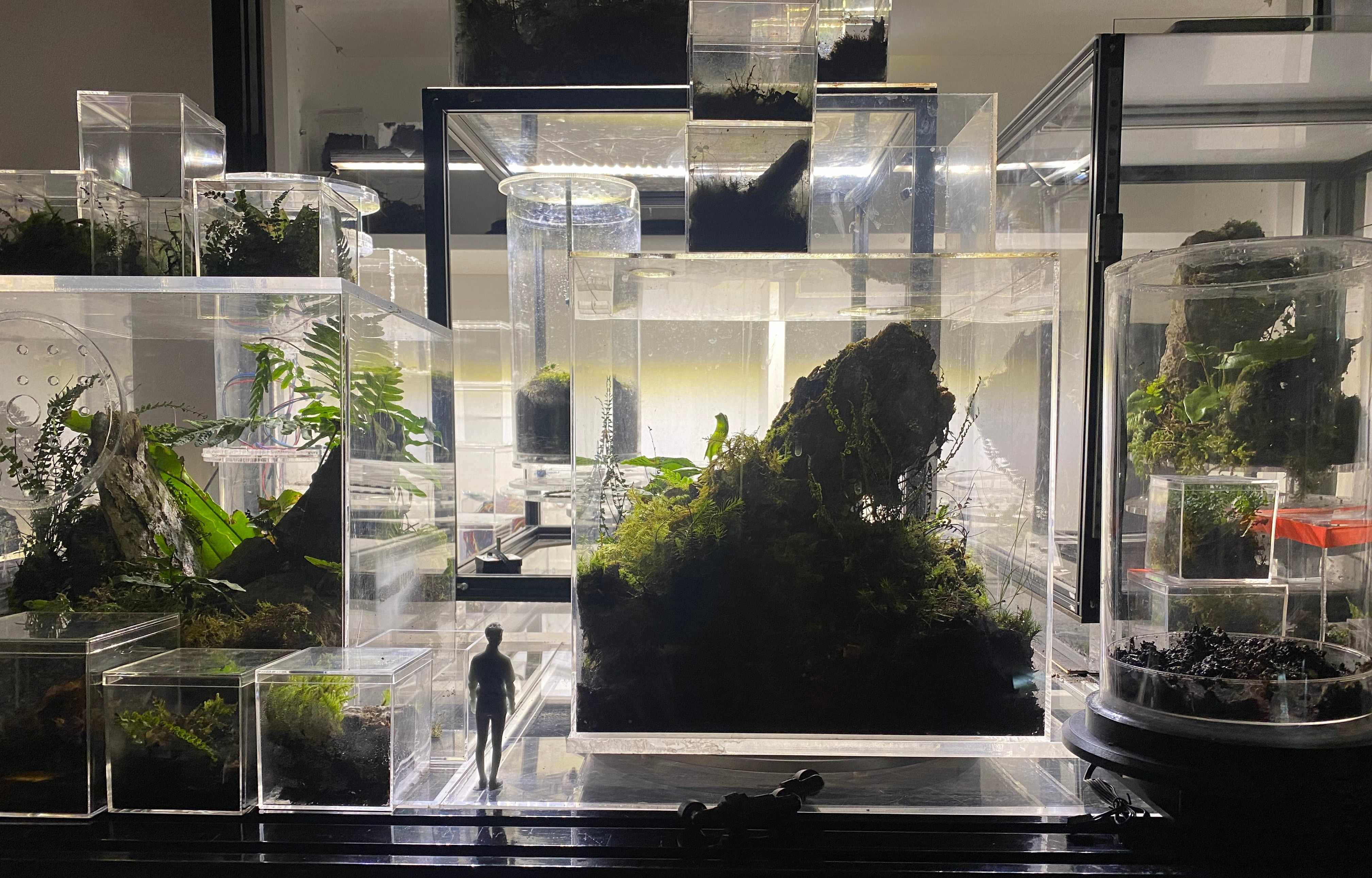 Living Otherwise: Students Design Futures