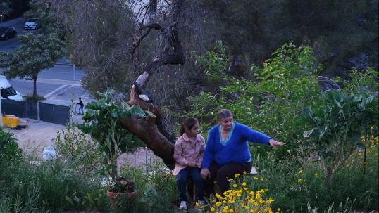 Historias del buen valle (2025)