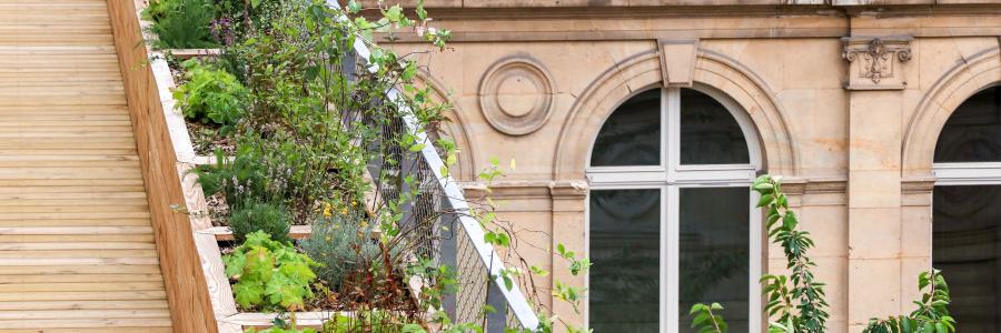 NEB Showcases Roofscapes_AcadémieDuClimat 