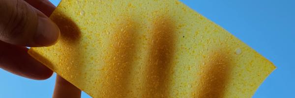 NEB Showcase Remonda 2024