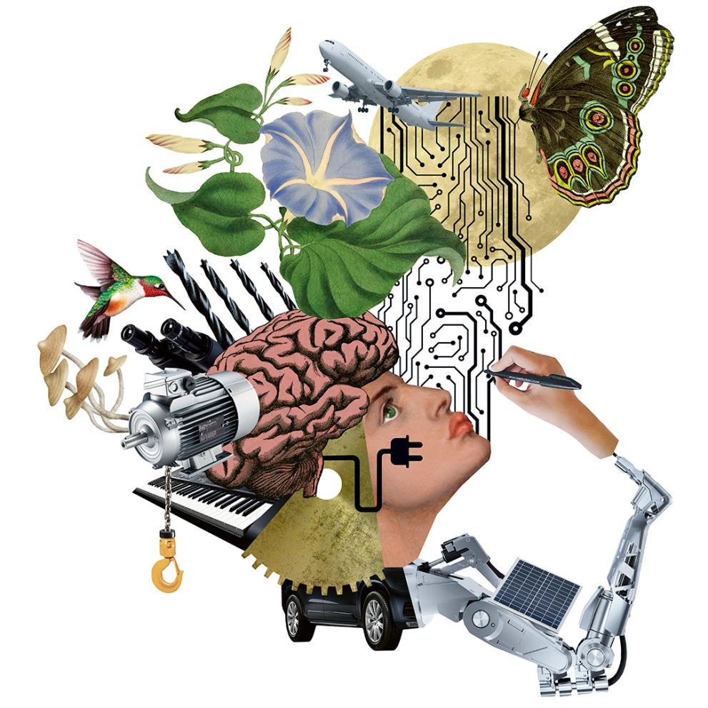 How to create a cross innovation project in 74 minutes