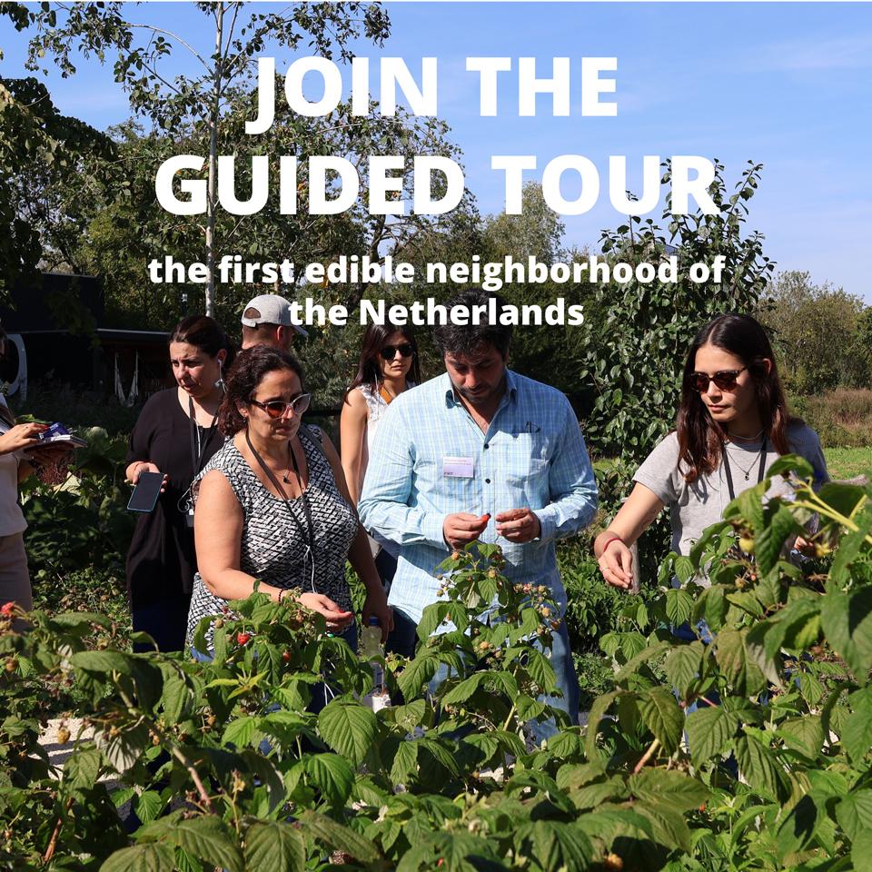 Join the guided tour in the first edible neighbourhood of the Netherlands