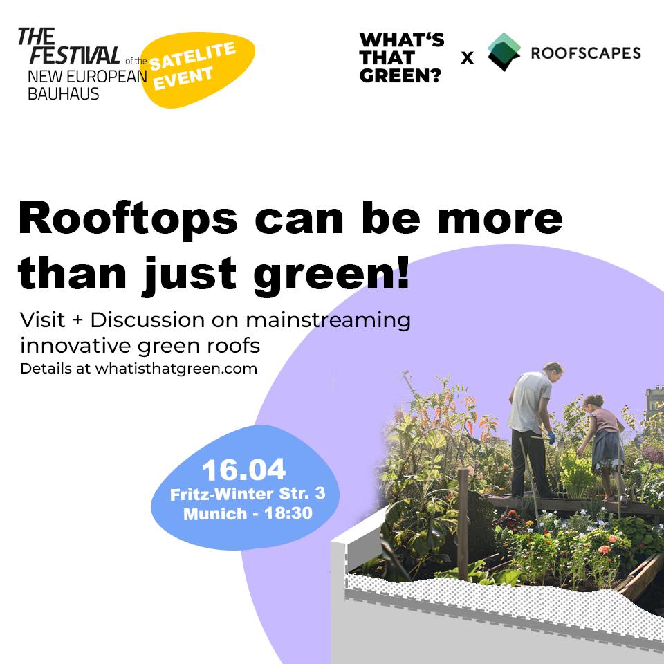 Rooftops can be more than just green!