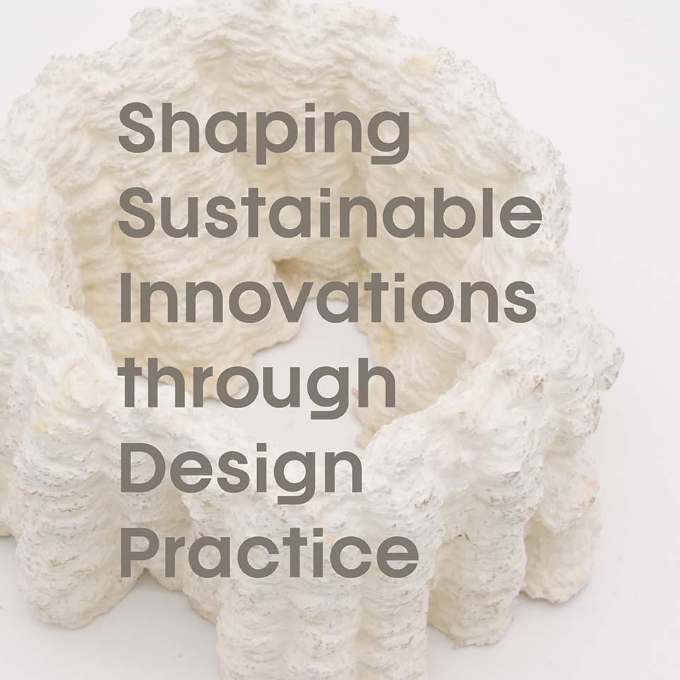 Shaping sustainable innovations through Design practice