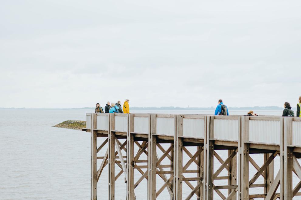 NEB Lighthouses: Mapping Impact Across Systems & Places