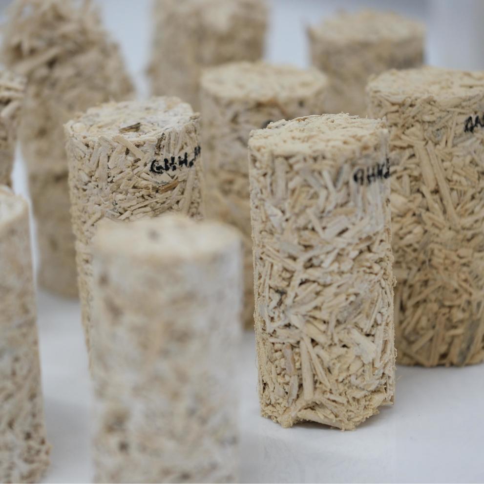 BIOARC: Bioregional mineralisation with agricultural resources for construction