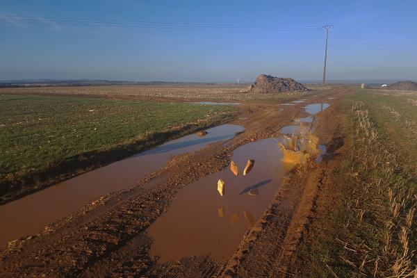 Means and Methods of art, design and media research.