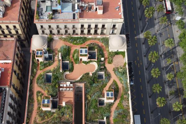 Floating Wild Garden