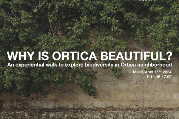 WHY IS ORTICA BEAUTIFUL? An experiential walk to explore biodiversity in Ortica neighborhood