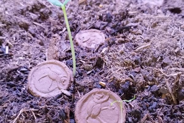 Climate Service (HR)