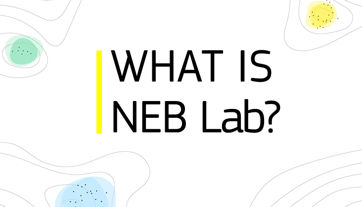 NEB Lab 